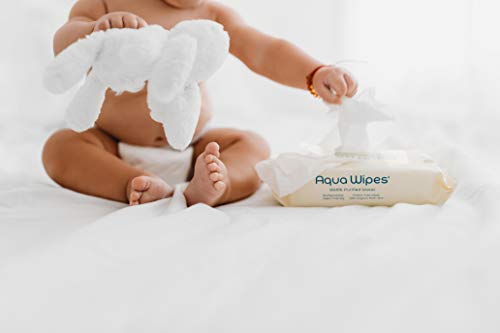 Toallitas húmedas Aqua Wipes, (Bolsa de 4 x 64 paquetes de toallitas húmedas (256 toallitas)), (64 toallitas por paquete), AQW64F4B, Vegana, Biodegradable, sin plástico, 99.6% de agua purificada