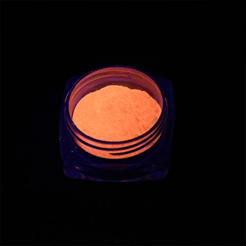 TOOGOO 12 cajas/juego Polvo de fosforo de neon Polvo de brillo de unas Pigmento luminoso del polvo de 12 colores Polvo fluorescente brillo de unas Brillan en la oscuridad