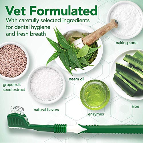 Vet's Best Pasta de dientes para perros, limpieza de dientes y gel para el cuidado dental de aliento fresco, 100g