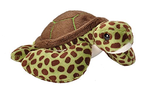 Wild Republic - CK Lil's Peluche tortuga marina, 15 cm (18111) , color/modelo surtido