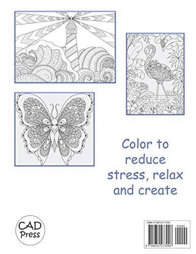 A Splash of Summer: An Adult Coloring Book