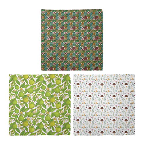 ABAKUHAUS Pack de 3 Bandanas Unisex, Las hojas tropicales en rosa bebé fruta bergamota y Composición Flores rural Vida Silvestre, Multicolor