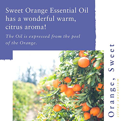 Absolute Aromas Aceite Esencial de Naranja Dulce 100ml - Puro, Natural, Sin Diluir, Crueldad Libre y Vegano
