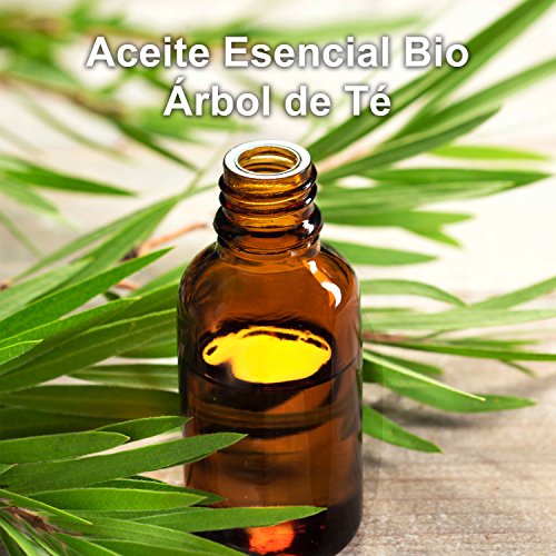 Aceite Esencial de Arbol de Té Puro 30 ml, 100% Natural y Bio | Trata el Acné Piojos Caspa Hongos Verrugas Problemas de Piel | Ideal para Humidificador Ultrasónico Aromaterapia | Fabricado en Francia