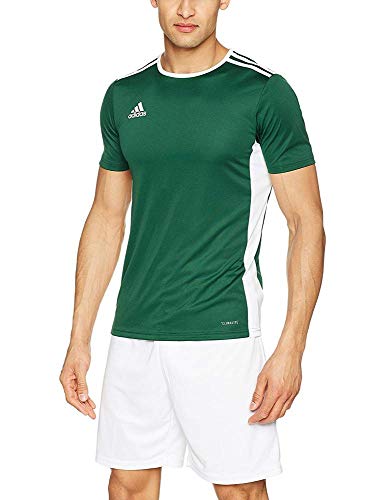 adidas Entrada 18 JSY T-Shirt, Hombre, Collegiate Green/White, M