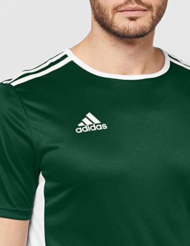 adidas Entrada 18 JSY T-Shirt, Hombre, Collegiate Green/White, S