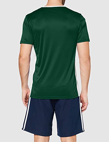 adidas Entrada 18 JSY T-Shirt, Hombre, Collegiate Green/White, S