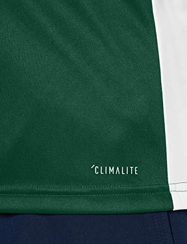 adidas Entrada 18 JSY T-Shirt, Hombre, Collegiate Green/White, S