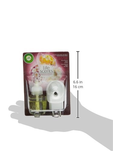 Air Wick - Ambientador eléctrico completo, delicias de verano, 18 ml