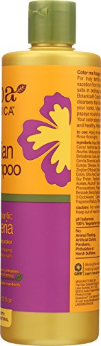 Alba Botanica Natural Hawaiian Shampoo Colorific Plumeria 350ml by Alba Botanica