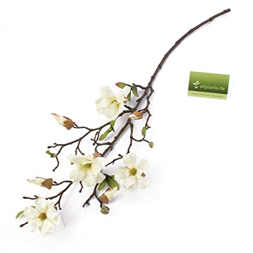 artplants.de Rama de Magnolia Artificial Lilo, 4 Flores, yemas, Crema-Blanco, 75cm - Planta Artificial - Ramas con Flores