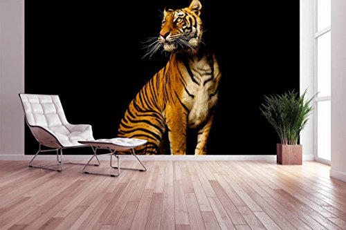 awallo DD105448 Majestätischer Tiger - Papel pintado fotográfico (400 x 250 cm), diseño de tigre