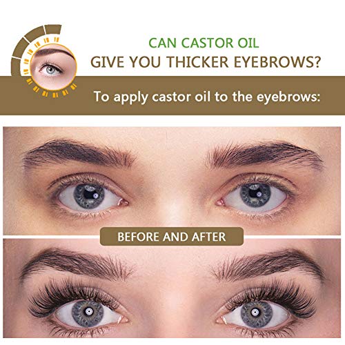 Beito 1Bottle Natural Organic Castor Oil Lash Growth Serum Cejas Mejora de suero Estimular el tratamiento de pestañas Lash Booster para pestañas y cejas Crecimiento de cabello (10ml / 0.34fl.oz)