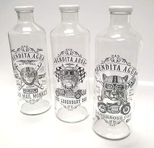 BENDITA AGUA Botellas DE Cristal 1 litro Colección Intrepidos (3 Piezas)