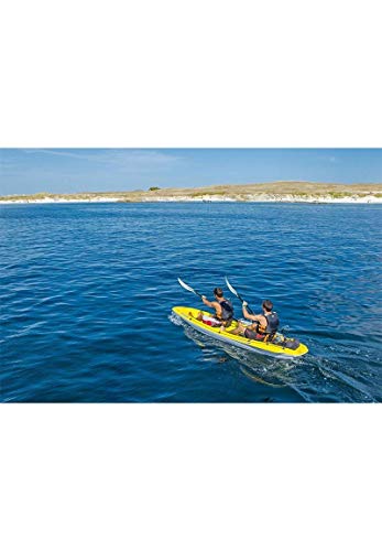 BIC Sport  - Accesorio para remos de Kayak y Piragua, Color Nergo/Naranja, Talla UK: 220cm