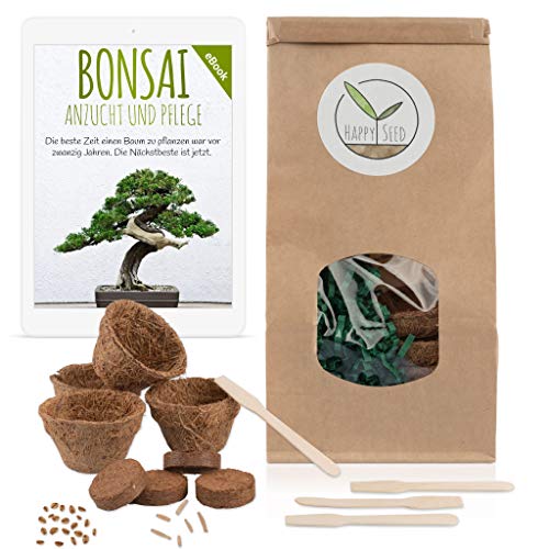 Bonsai Kit incl. eBook GRATUITO - Set con macetas de coco, semillas y tierra - idea de regalo sostenible para los amantes de las plantas (Rosa del Desierto + Secoya Gigante)
