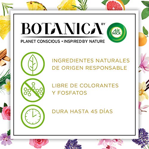 Botanica by Air Wick Varitas Perfumadas - Ambientador Mikados, Esencia Para Casa con Aroma a Vetiver Caribeño Y Sándalo - 100 ml