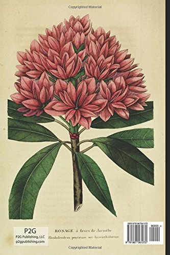 Botanical Print Journal: rhododendron ponticum hyacinthiflorum, 6" x 9" Vintage Botanical Flower Print Journal - [Lined Journal]