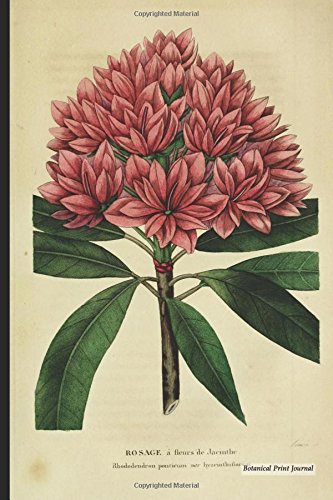 Botanical Print Journal: rhododendron ponticum hyacinthiflorum, 6" x 9" Vintage Botanical Flower Print Journal - [Lined Journal]