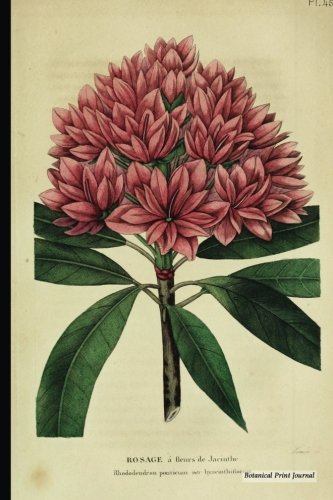 Botanical Print Journal: rhododendron ponticum hyacinthiflorum, 6" x 9" Vintage Botanical Flower Print Journal - [Unruled/Blank/Plain/Unlined Journal]