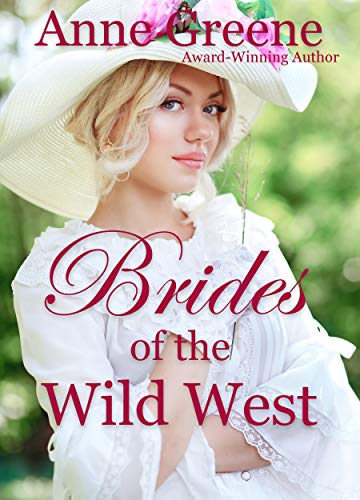 Brides of the Wild West (English Edition)