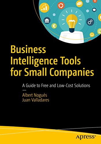 Business Intelligence Tools for Small Companies: A Guide to Free and Low-Cost Solutions (English Edition)