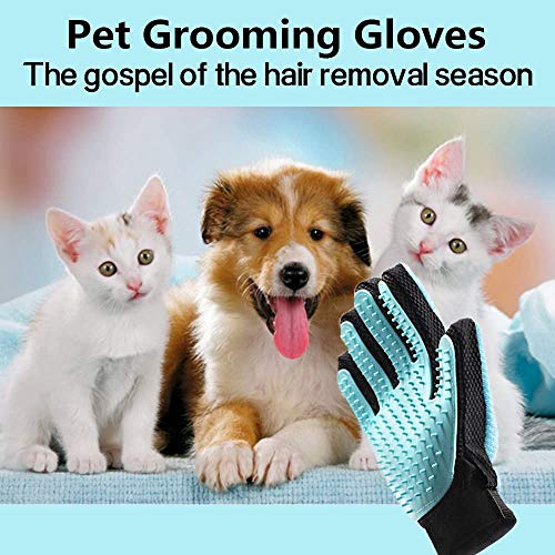 Cepillo para Guantes -con Removedor de pelo para Muebles - Limpieza de Mascotas Para Perros Pequeños, Medianos y Grandes & Gatos Con Pelaje Corto a Largo - Reduce Eficazmente la Caida de Cabello Hasta