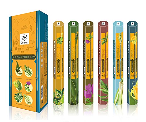 Chakra Aromaterapia Fragancia Natural los Palos perfumados - Promueve la Salud y el ser-20 Incienso por Caja - de Larga duración 120 Palos de fragancias - Pack de 6