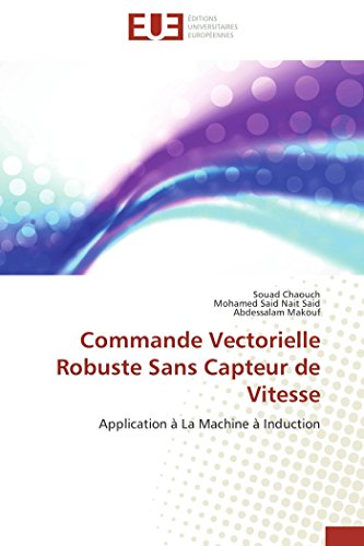 Commande vectorielle robuste sans capteur de vitesse (OMN.UNIV.EUROP.)