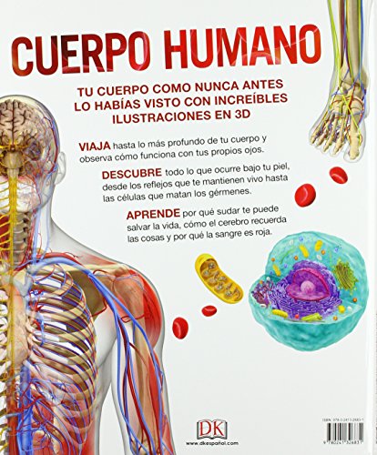 Cuerpo humano: Como nunca antes lo habías visto (Conocimiento)