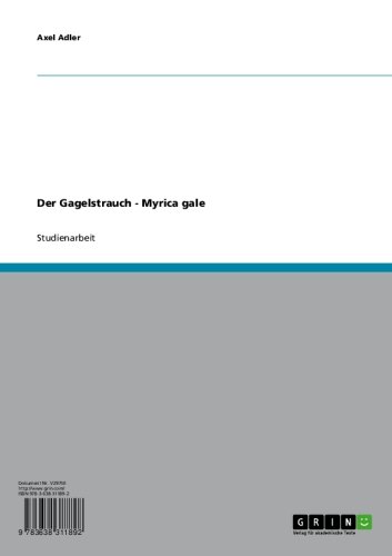 Der Gagelstrauch - Myrica gale (German Edition)