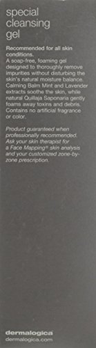 Dermalogica Special Cleansing Gel 250 ml (8oz)