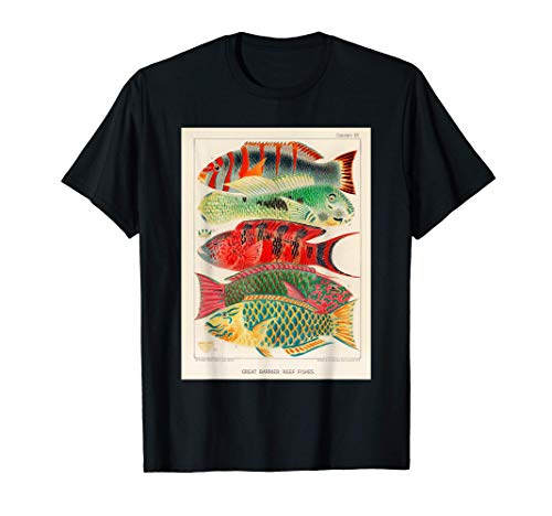 Diseño de gráfico de peces tropicales de arrecifes de coral Camiseta