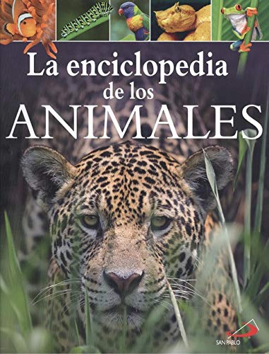 Enciclopedia De Los Animales (Conocimiento y consulta)