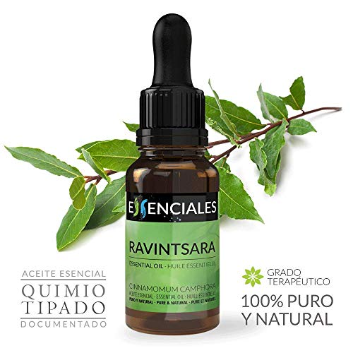 Essenciales - Aceite Esencial de Ravintsara/Alcanforero, 100% Puro, 10 ml | Aceite Esencial Cinnamomum Camphora