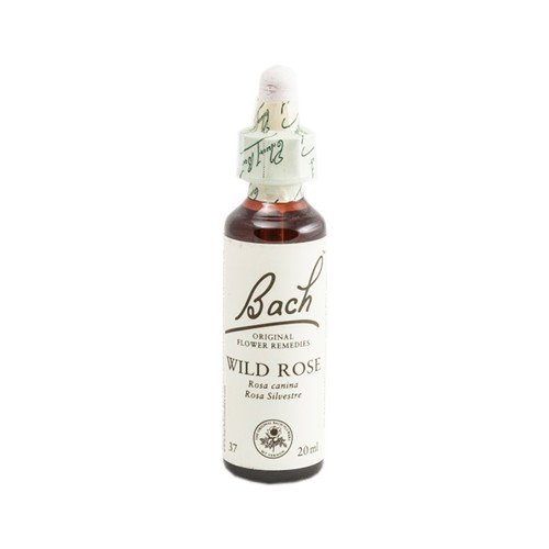 Flor de Bach - BACH 37 WILD ROSE 20 ml