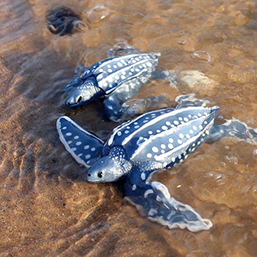 FLORMOON Tortuga laúd Figuras - Realistas Figuras de Animales Juego de simulación de Juguete - Aprendizaje de Juguetes educativos Navidad Cumpleaños Regalo Recompensas de Maestros para niños