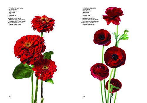 Flower Colour Guide (GENERAL NON-FICTION)