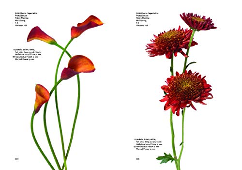 Flower Colour Guide (GENERAL NON-FICTION)