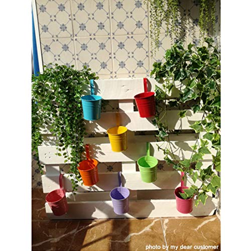 GIOVARA Maceta de Metal Colgante Florero con Soporte Extraíble para Balcón Jardín Patio Cubo Macetero Plantador con Orificio de Drenaje (10 macetas Surtido de 10 Colores)