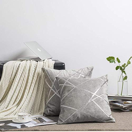 Gris Plata Terciopelo Almohadon Cubre Caso, Banda de Acento Confortable Funda de Almohada, Mejor Decoración Square Sham Fundas de Almohada para Sofá Sofá Cama Casa Decor 50x50cm Juego de Dos