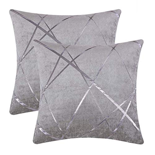 Gris Plata Terciopelo Almohadon Cubre Caso, Banda de Acento Confortable Funda de Almohada, Mejor Decoración Square Sham Fundas de Almohada para Sofá Sofá Cama Casa Decor 50x50cm Juego de Dos