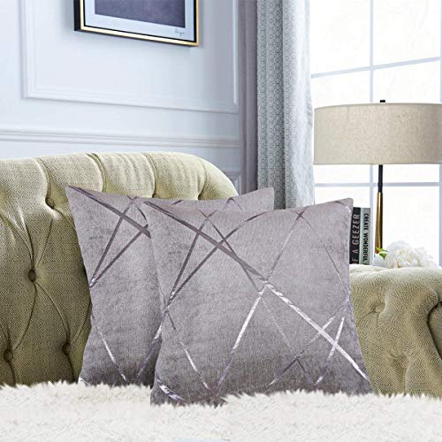 Gris Plata Terciopelo Almohadon Cubre Caso, Banda de Acento Confortable Funda de Almohada, Mejor Decoración Square Sham Fundas de Almohada para Sofá Sofá Cama Casa Decor 50x50cm Juego de Dos