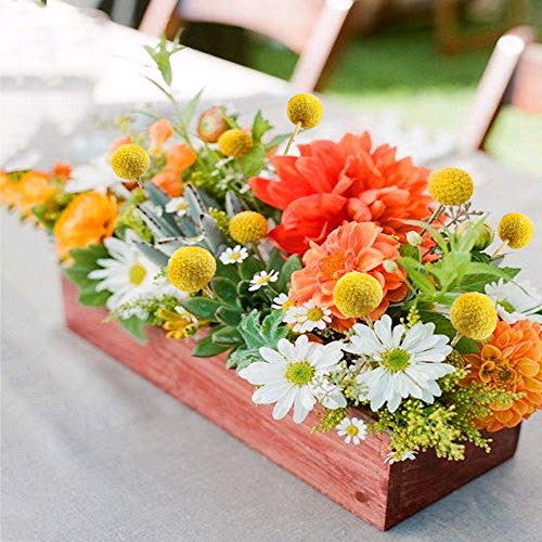 HUAESIN Flores Secas Naturales Pequeñas Flor Seca Ramillete Flores Artificiales para Decoracion Jarrones Hogar Boda Manualidades Interior Cocina Mesa Cafeteria Fiesta (30pcs Amarilla)