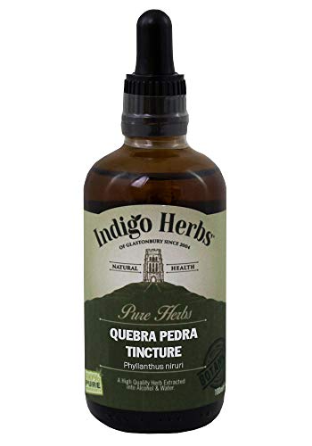 Indigo Herbs Tintura de Quebra Pedra/Chanca Piedra 100ml