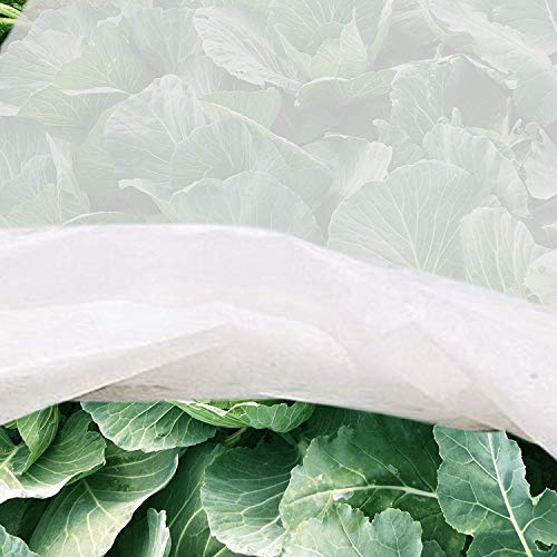 JYCRA Paño anticongelante para plantas, de tela no tejida, reutilizable, cubierta de hilera flotante, manta de congelación para plantas de jardín y verduras, tela sin tejer, Blanco, 2m x 6m