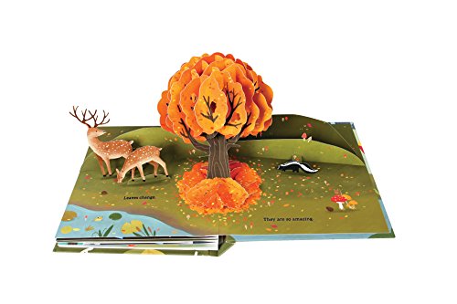 Leaves. An Autumn Pop Up Books (4 Seasons of Pop-Up)