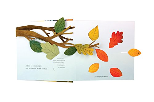 Leaves. An Autumn Pop Up Books (4 Seasons of Pop-Up)