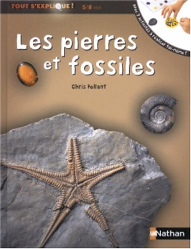 Les pierres et fossiles (Tout s'explique !)