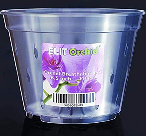 Maceta de orquídeas con agujeros – Maceta de plástico transparente para todo tipo de orquídeas – juego de 4 macetas de 170 mm de diámetro